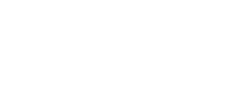 ssi logo white